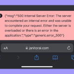 Janitor AI 500 Internal Server Error